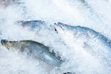 Yemek geçmişi. Süpermarkette taze beyaz balık..