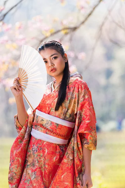 Kiraz Çiçekleri Kimono Giyen Asyalı Kadın Japonya Ilkbaharda Kiraz Çiçekli — Stok fotoğraf
