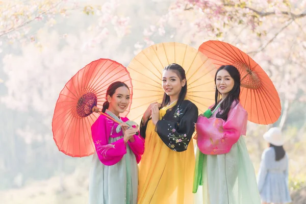 Três Coreanas Vestindo Hanbok Usando Guarda Chuva Mulher Bonita Vestindo — Fotografia de Stock