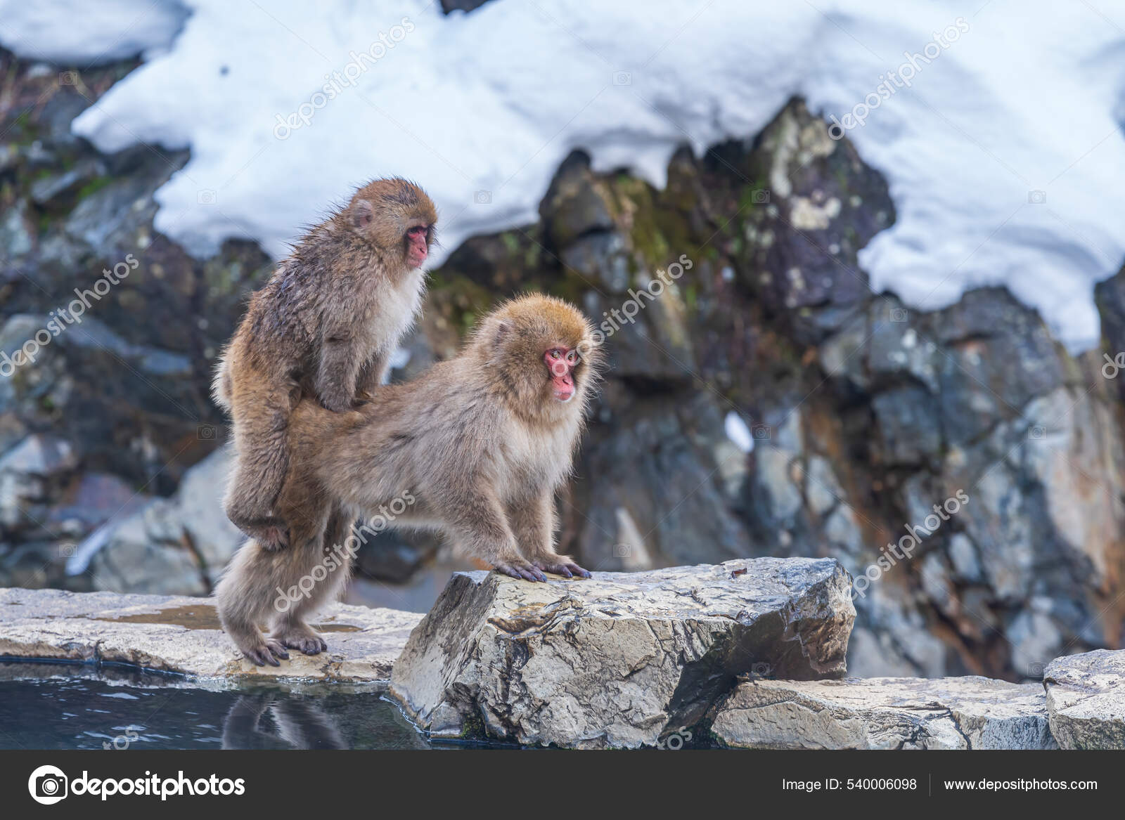 Anastasiya Karpova yalangoch