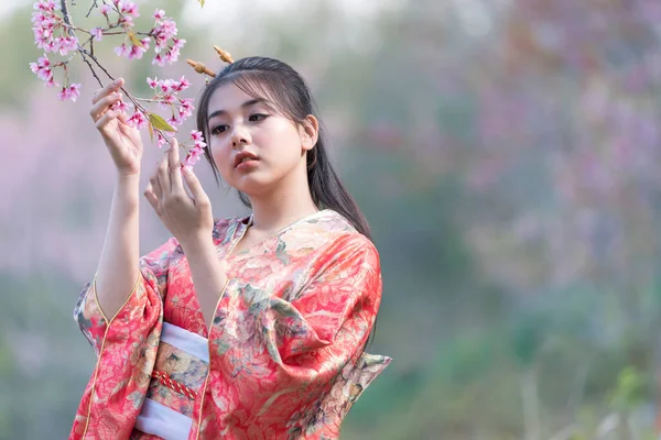 Mulher Asiática Vestindo Quimono Yukata Jardim Flor Cereja — Fotografia de Stock