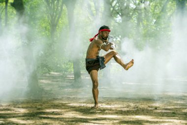 Wai Kru Muay Thai gösterisi. Boks müziği. Arkaplanda büyük fillerle boks dövüşü var..