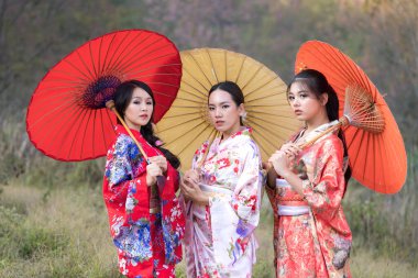 Kimono ve sakura çiçekleri giyen çekici Asyalı kadın. Üç Asyalı Japon kadın geleneksel kimono ve sakura bitkisi giyiyor..