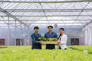 Group asian business farmer man and woman in greenhouse hydroponic organic farm. Group of people in modern hydroponic vegetable fields.