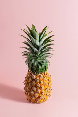 Pembe arka planda dikey taze ananas mevsimlik tropikal meyve
