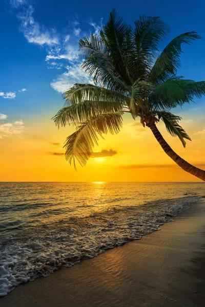Όμορφο Τοπίο Ωκεανό Καλοκαίρι Ηλιοβασίλεμα Φυσικό Φόντο Κάθετη — Φωτογραφία Αρχείου