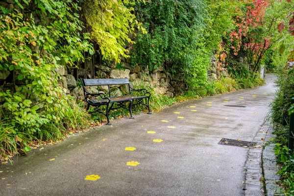 秋の公園で緑の路地 — ストック写真