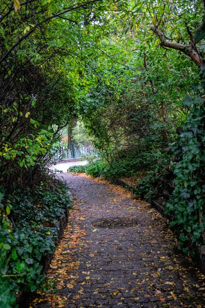 秋の公園で緑の路地 — ストック写真
