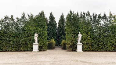 Viyana 'da sonbahar parkı ve mermer antik heykeller, Schonbrunn