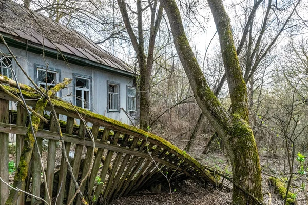 Dışlama bölgesinde terk edilmiş eski kır evi. Çernobil nükleer felaketinin sonuçları