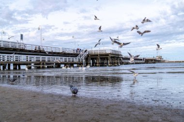  Sopot 'taki eski ahşap iskele, Baltık Denizi kıyısında.
