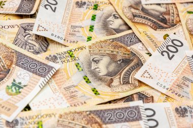 Polonya 'nın ulusal para birimi Zloty' nin banknotları