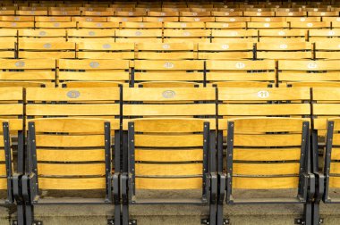 Açık hava tiyatrosunda tahta koltuklar. Sopot 'taki Orman Operası