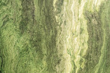 Yeşil doğal yeşil taş yeşili. Arkaplan ve doku