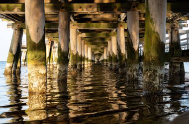 Sopot 'taki eski ahşap iskele, Baltık Denizi kıyısında.