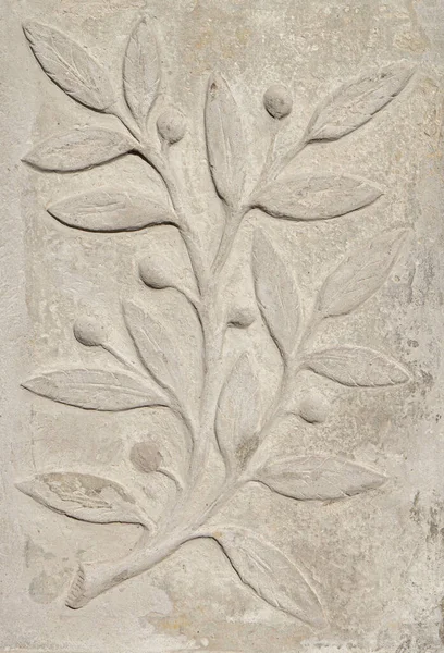 Parede Pedra Com Padrão Floral Esculpido — Fotografia de Stock