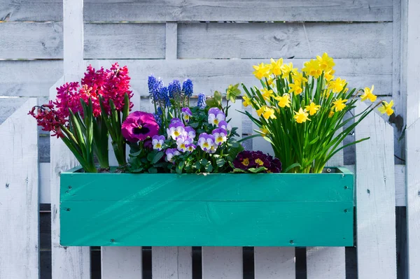 Maceta Con Flores Primavera Decoración Hogar Jardín — Foto de Stock