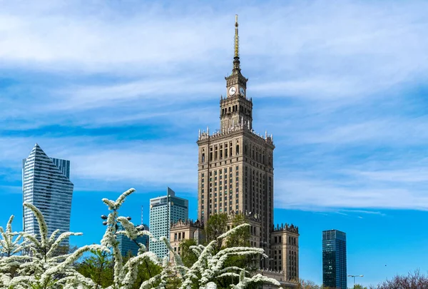 Kültür ve bilim Varşova Sarayı