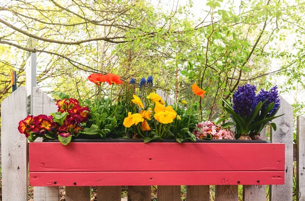 Blomkruka Med Vårblommor — Stockfoto