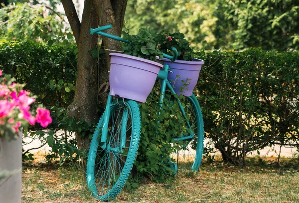 Old Bicycle Blooming Summer Garden — Stock Photo, Image