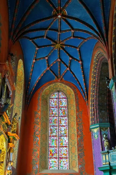 Janela Vitrais Gótico Catedral São Martinho São Nicolau Bydgoszcz — Fotografia de Stock