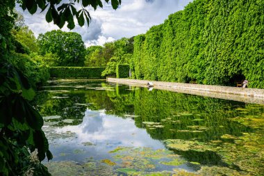 Pond in an old green park