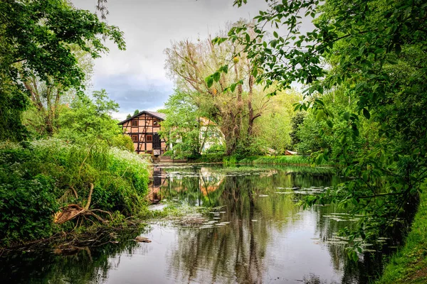 Waterlogged Pond Old Overgrown Garden — Photo