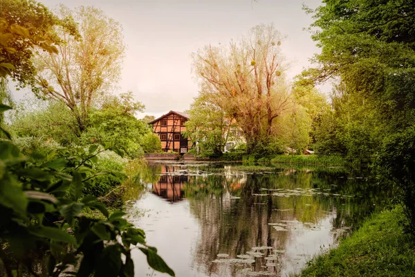 Waterrijke Vijver Oude Overwoekerde Tuin — Stockfoto