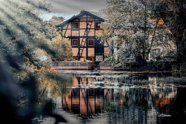 Old Witch Hut Swampy Lake — Fotografia de Stock