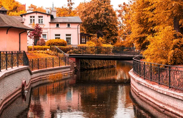 Morning Bruges Old Houses Banks Canal — Fotografia de Stock