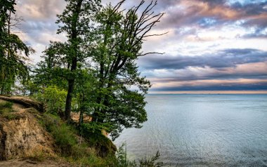 Orlowo cliff and sandy beach on the coast of the Baltic Sea in Gdynia