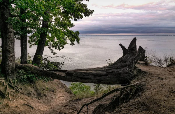 Orlowo Cliff Sandy Beach Coast Baltic Sea Gdynia — стоковое фото