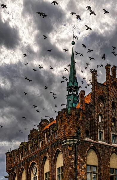Flock Birds Spire Old Gothic Church — Zdjęcie stockowe