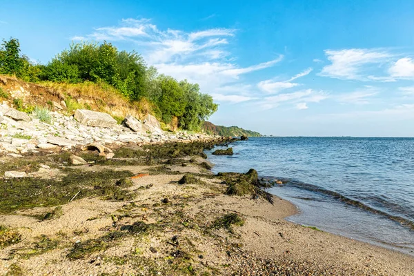 Забруднення Узбережжя Балтії — стокове фото