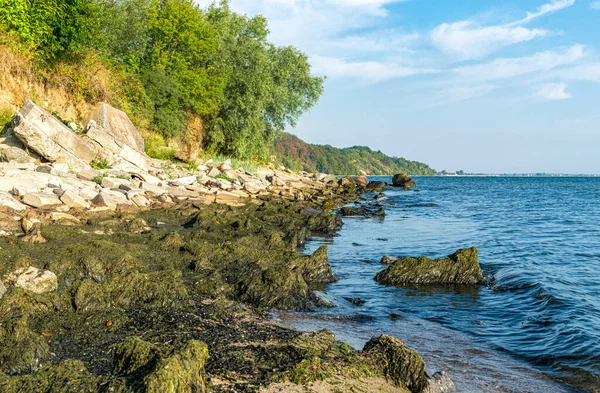 Забруднення Узбережжя Балтії — стокове фото