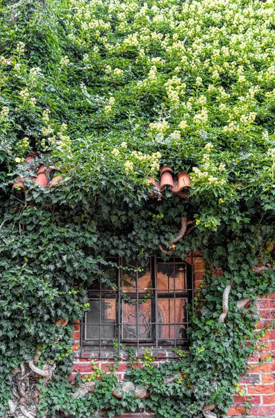 Raam Van Een Oud Bakstenen Landhuis Engeland — Stockfoto