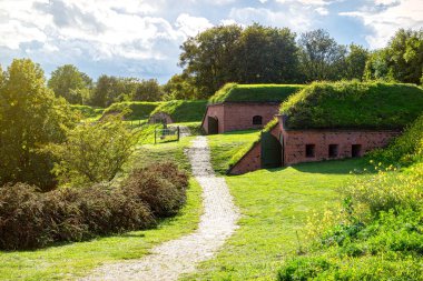 Çatıda çimen olan eski evler.