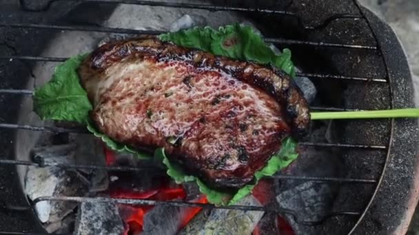 Carne Fresca Alla Griglia Sicura Dagli Acceleratori Carne Rossa — Video Stock