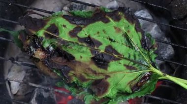 Izgara taze et ve kırmızı et hızlandırıcılardan korunuyor.