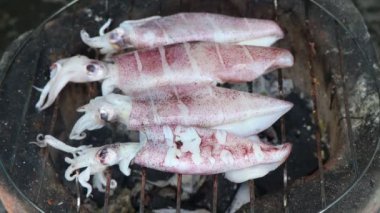 Izgara enfes kalamar. Denizden taze taze ve formalinden uzak.