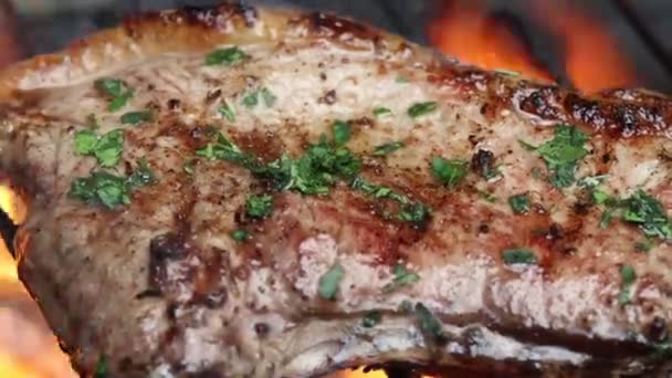 Carne Fresca Grelhada Segura Contra Aceleradores Carne Vermelha — Vídeo de Stock