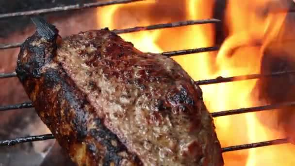 Frischfleisch Vom Grill Und Sicher Vor Roten Fleischbeschleunigern — Stockvideo