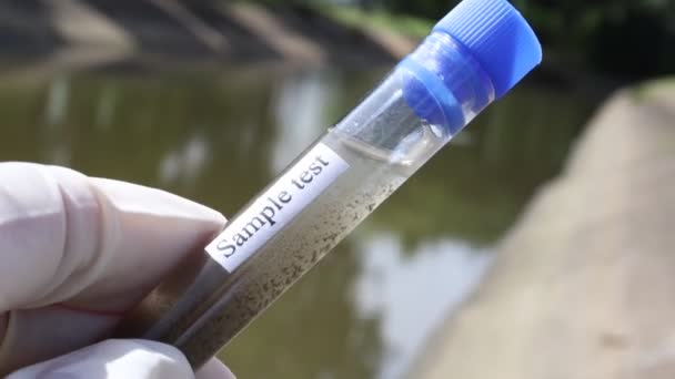 Mengumpulkan Sampel Air Limbah Dari Kanal Industri Dalam Tabung Uji — Stok Video