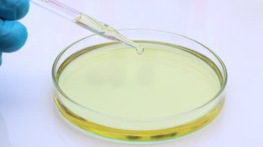 Laboratuvardaki doğal hammaddeler ve çevre dostu biyodizel deneyler.