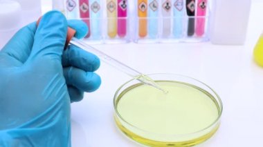 Laboratuvardaki doğal hammaddeler ve çevre dostu biyodizel deneyler.