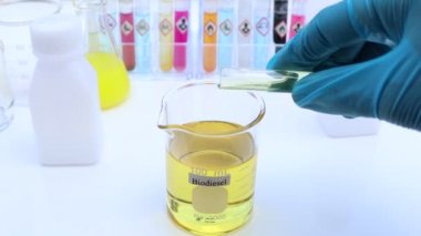 Laboratuvardaki doğal hammaddeler ve çevre dostu biyodizel deneyler.