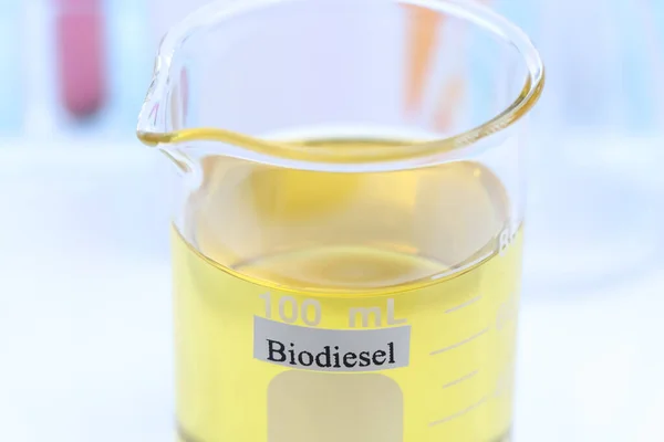 Expériences Biodiesel Partir Matières Premières Naturelles Laboratoire Respectueux Environnement — Photo