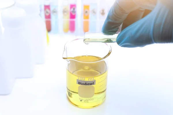 Experiências Com Biodiesel Partir Matérias Primas Naturais Laboratório Respeitadoras Ambiente — Fotografia de Stock