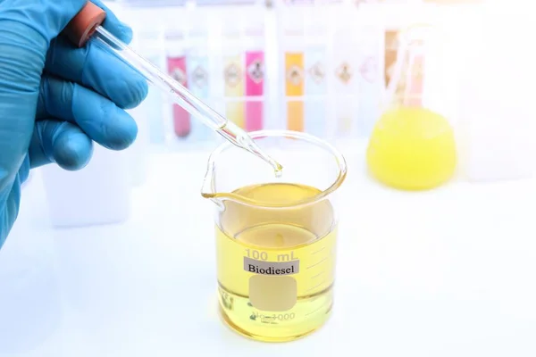 Experiências Com Biodiesel Partir Matérias Primas Naturais Laboratório Respeitadoras Ambiente — Fotografia de Stock