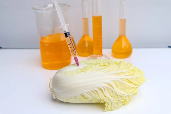 Eksperymentowanie Warzywami Laboratorium Wykorzystaniem Substancji Chemicznych Eksperymentów Zdrowia — Zdjęcie stockowe